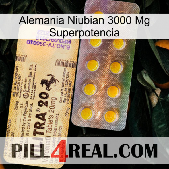 Germany Niubian 3000 Mg Superpower new06.jpg